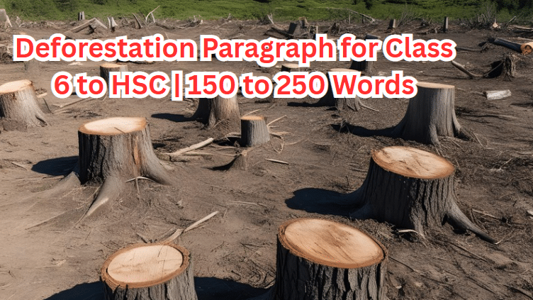 Deforestation Paragraph for Class 6, 7, 8, 9, SSC & HSC | 150, 200, 250 Words